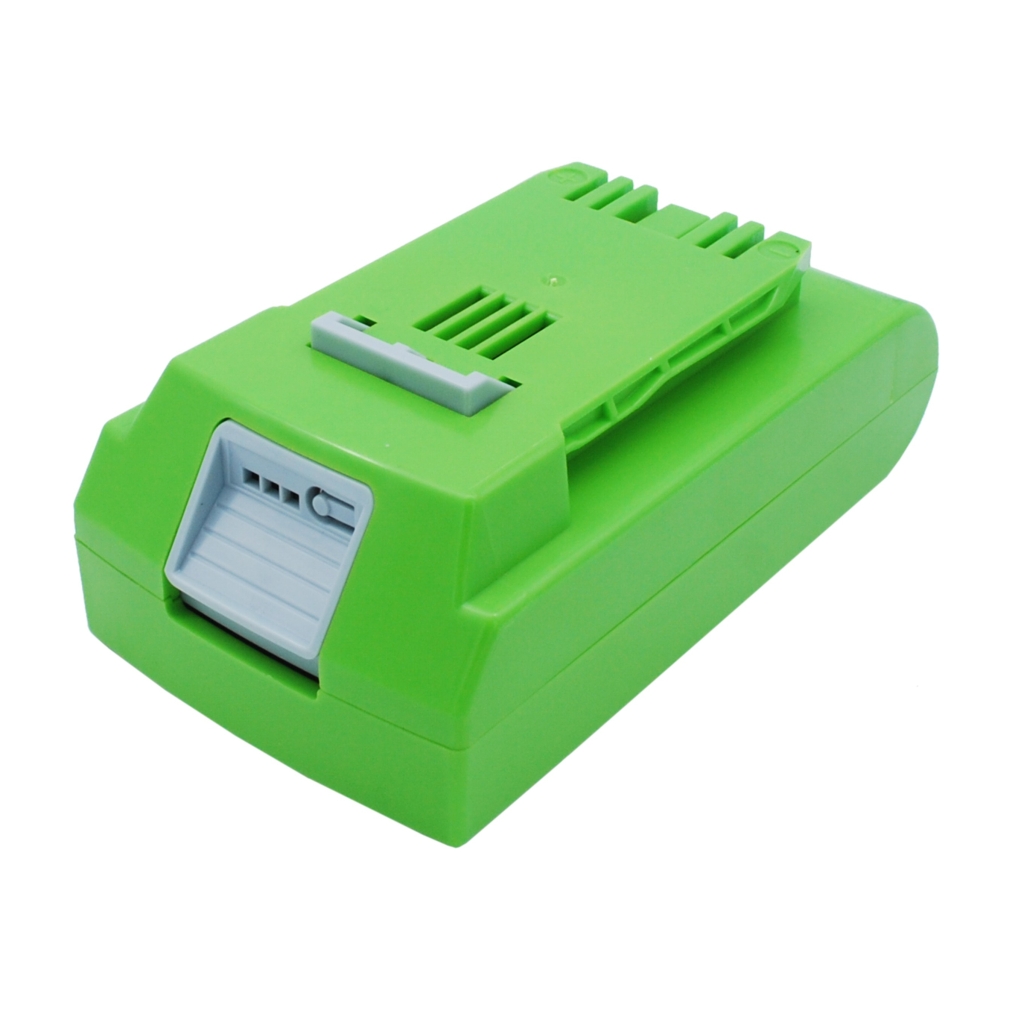 Batterie Sostituisce 24V Charger 2 Slots 2 Amp