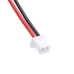 DAB Digital Battery Dual CS-DVP500SL