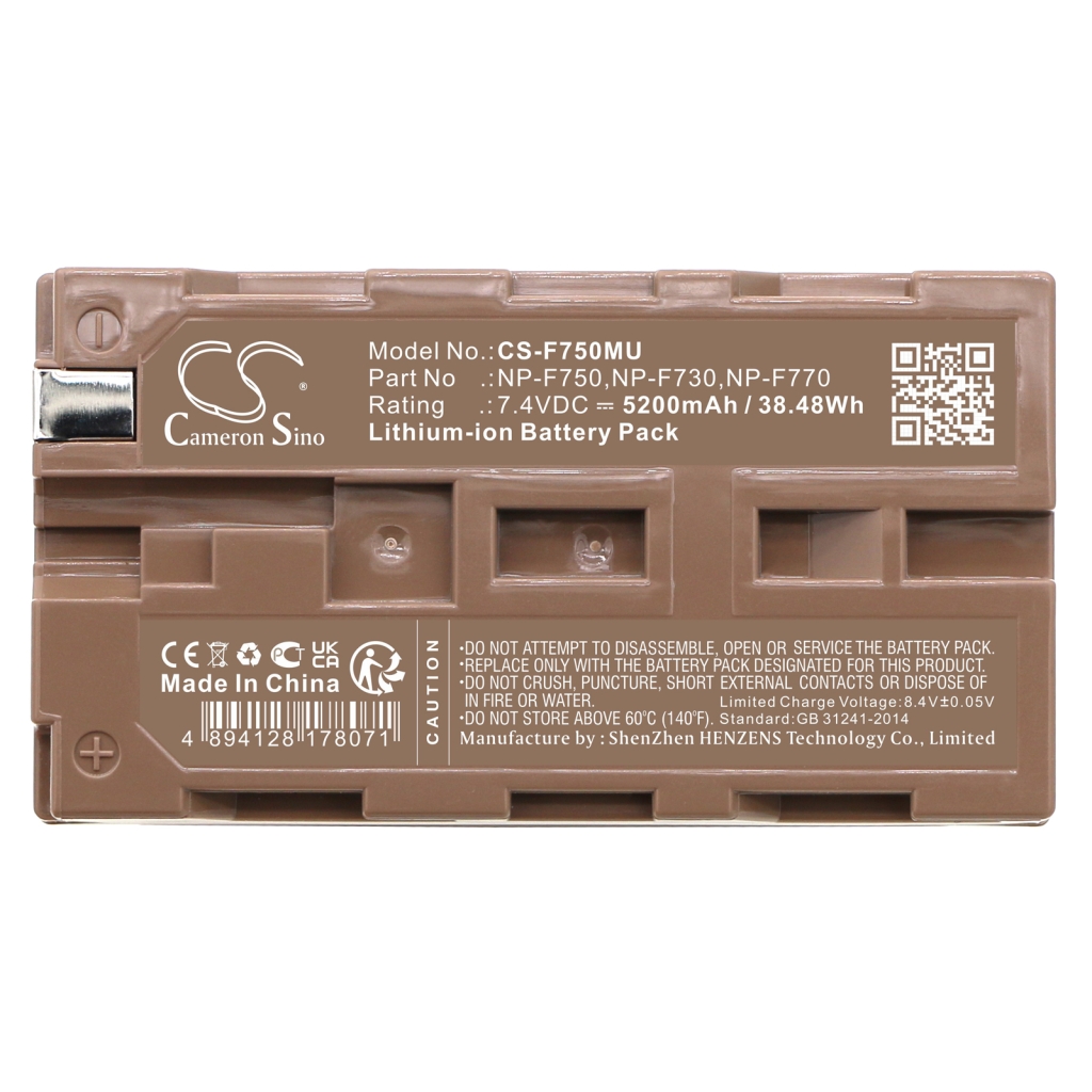 Camera Battery Panasonic NV-DX110EG