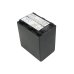 Batterie Sostituisce NP-FH100
