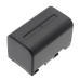 Batterie Sostituisce NP-FS21