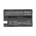 Batterie Sostituisce NP-FS21