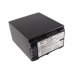 Camera Battery Sony DCR-SR100