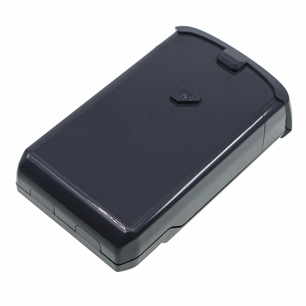 Batterie Sostituisce RAP22BAT
