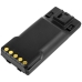 Batteria radio bidirezionale Icom CS-ICM284TW