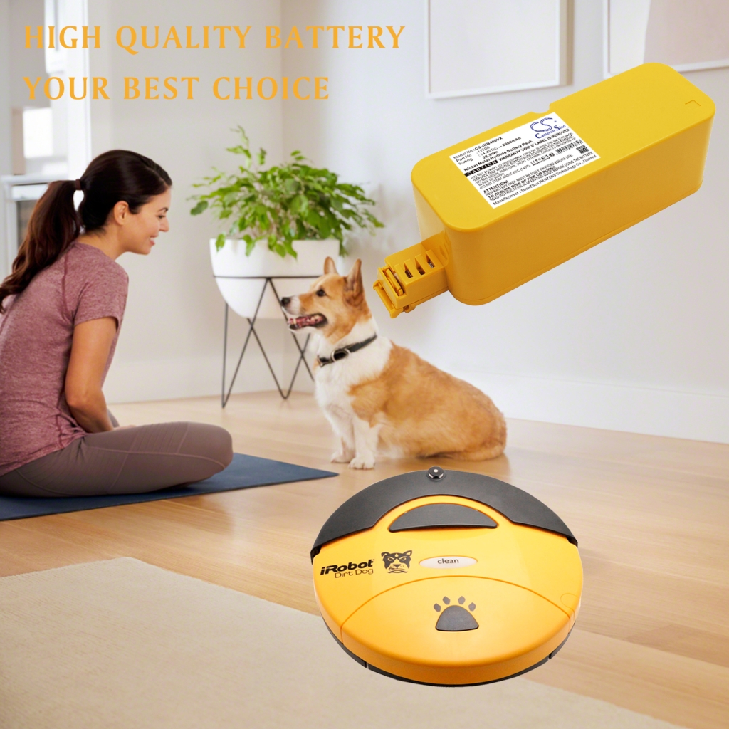 Battery compatible with Robzone