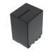 Batteria per JVC GZ-D240