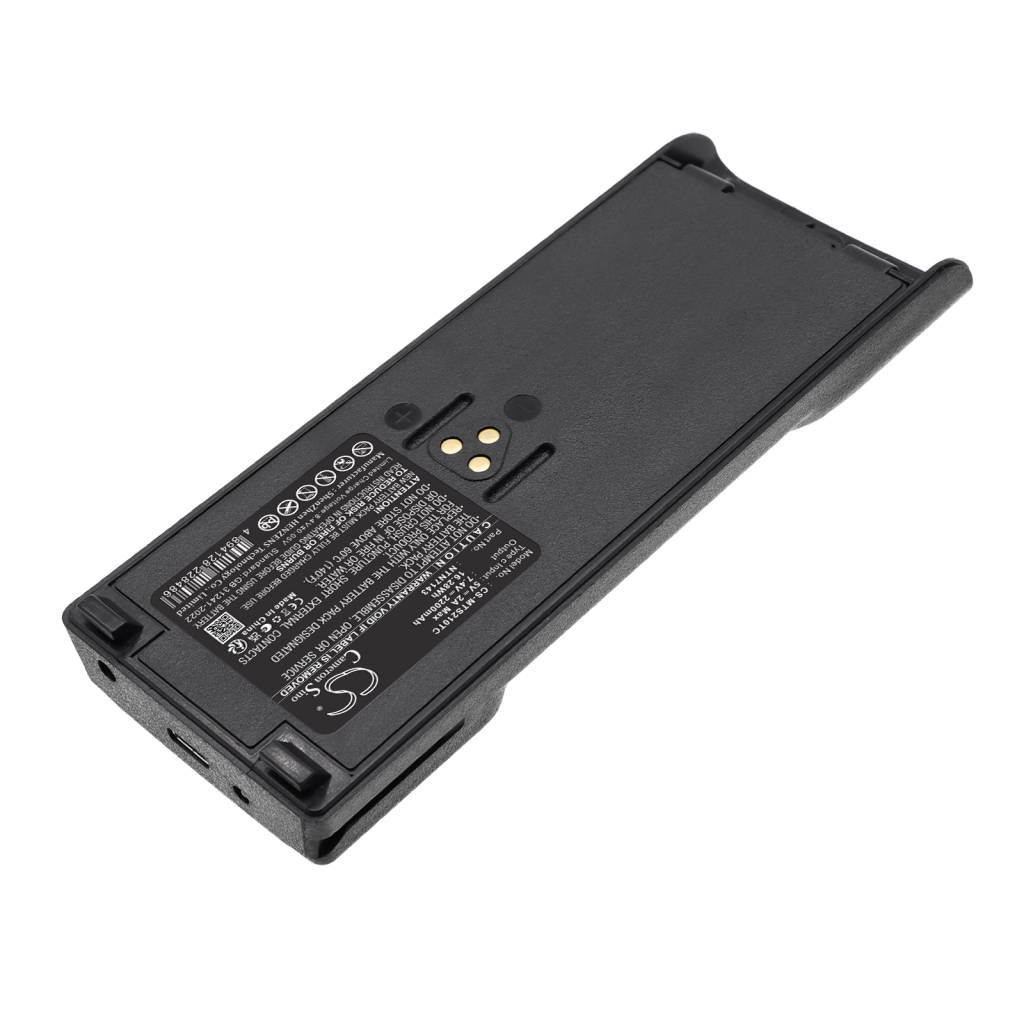 Batteria compatibile con Motorola CS-MTS210TC
