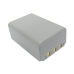 Batteria compatibile con Casio CS-NP100CA