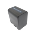 Batterie Sostituisce NP-QM91