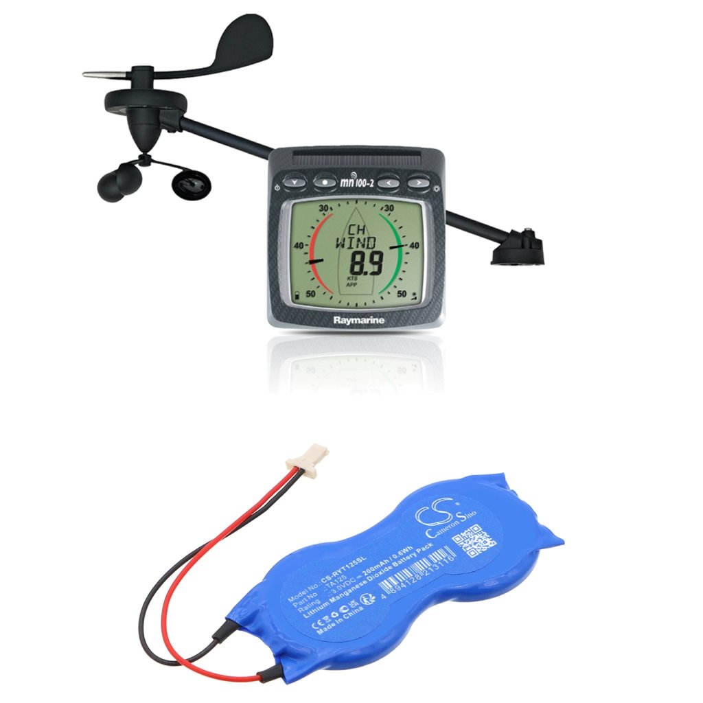 Batteria industriale Raymarine T125 (CS-RYT125SL)