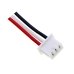 Batteria digitale DAB Sony XDR-P1DBP (CS-XDP100SL)