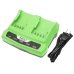Batteria industriale Greenworks DF-GWP240UA
