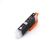 Sostituzione compatibile per Compatibile con Epson C13T24314012 / 13ml Inchiostro Nero (Cartucce d'inchiostro)