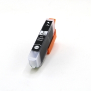 Compatibile con Epson C13T26314012 / 13ml Inchiostro Nero foto (Cartucce d'inchiostro)