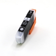 Compatibile con Epson C13T33614012 / 13ml Inchiostro Nero foto (Cartucce d'inchiostro)