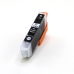 Compatibile con Epson C13T33614012 / 13ml Inchiostro Nero foto (Cartucce d'inchiostro)
